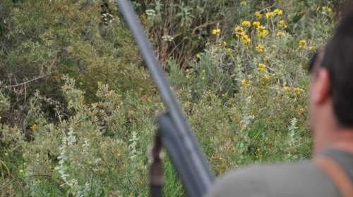 Πυροβολισμοί σε καφενείο στο Λαύριο: Τραυματίστηκε ο ιδιοκτήτης - Προσωπικές διαφορές το κίνητρο