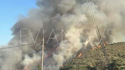 Πύρινος εφιάλτης στην Εύβοια: Μεγάλη πυρκαγιά στα Μεσοχώρια - Μήνυμα απομάκρυνσης από το 112 [βίντεο]