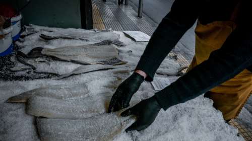 &quot;Αλμυρός&quot; φέτος ο μπακαλιάρος για την 25η Μαρτίου - Πόσο θα κοστίσει