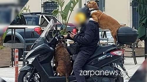 Κρήτη: Πρόστιμο 1500 ευρώ στον 47χρονο με τα δυο σκυλιά στο μηχανάκι και κινητό στο χέρι- &quot;Είναι η ατραξιόν των Χανίων&quot;