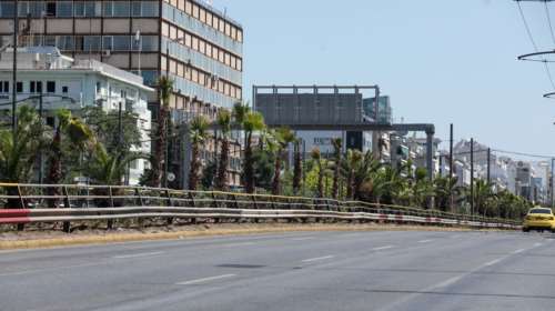 Αλλάζει όψη η Συγγρού: Φύτεψαν 300 φοίνικες - Γιατί επέλεξαν αυτά τα δέντρα