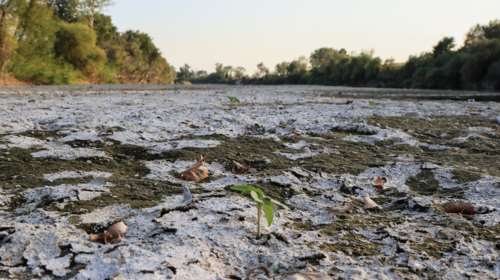 Καμπανάκι για την κλιματική κρίση: Σε συνθήκες ξηρασίας η Ελλάδα - Ποιες περιοχές πλήττονται περισσότερο [χάρτης]