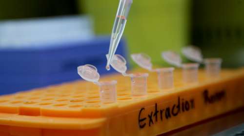 ΠΟΥ: Τέλος οι δοκιμές της υδροξυχλωροκίνης για την αντιμετώπιση του κορονοϊού