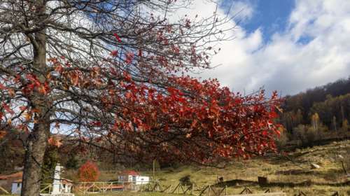 Τσατραφύλλιας: Κρύο με νέα πτώση της θερμοκρασίας το Σαββατοκύριακο, τι θα γίνει το τριήμερο της 28ης Οκτωβρίου