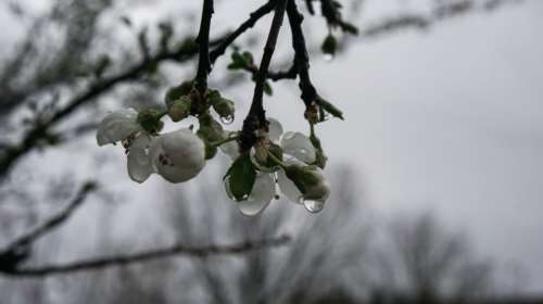 Καιρός: Βροχές και καταιγίδες σήμερα στο μεγαλύτερο μέρος της χώρας - Εως 23 βαθμούς ο υδράργυρος