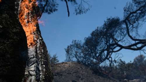 Φωτιά στον Μανδρότοπο της Δράμας - Μεγάλη κινητοποίηση με 45 πυροσβέστες και τέσσερα ελικόπτερα