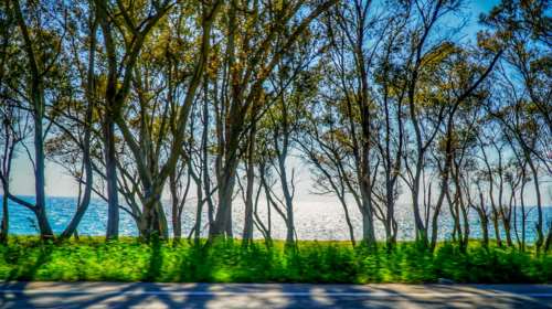 Καιρός: Ανεβαίνει και άλλο ο υδράργυρος, θα φτάσει τους 23 βαθμούς - Πού θα σημειωθούν τοπικές βροχές