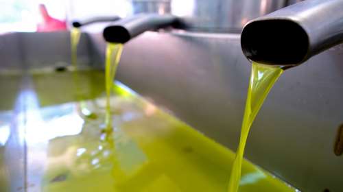 Θεσσαλονίκη: Νόθευαν ηλιέλαιο και το πουλούσαν ως εξαιρετικά παρθένο ελαιόλαδο - Κατασχέθηκαν 15 τόνοι