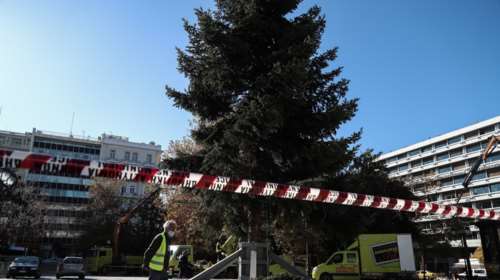 Πλατεία Συντάγματος: Στήθηκε το 15 μέτρων χριστουγεννιάτικο δέντρο - Ήρθε από το Καρπενήσι [εικόνες]