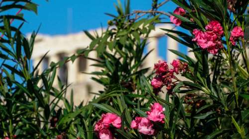 Καιρός: Μικρή άνοδος της θερμοκρασίας και ενισχυμένοι βοριάδες - Αναλυτική πρόγνωση