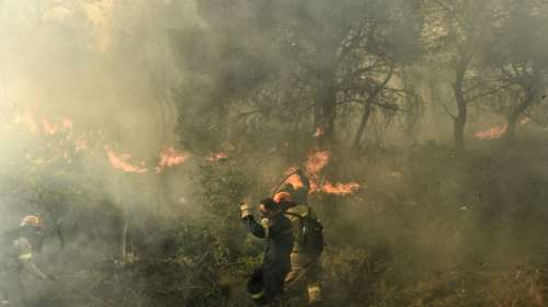 Εβρος: Μάχη με τις φλόγες για δέκατη ημέρα - Αγώνας για να σωθεί το δάσος της Δαδιάς