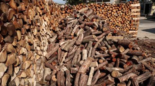 Θεσσαλονίκη: Έκλεψαν 20 τόνους καυσόξυλα - Θα μοιράζονταν σε οικογένειες ορεινών περιοχών