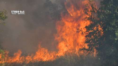 Φωτιά σε αγροτική έκταση στην Αργολίδα - Κοντά σε καταυλισμό Ρομά [εικόνες]