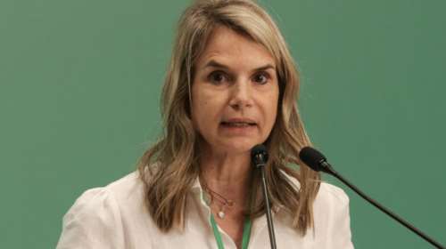 Μιλένα Αποστολάκη για δάνεια σε ελβετικό φράγκο: Αντί για ρύθμιση, εμπαιγμός
