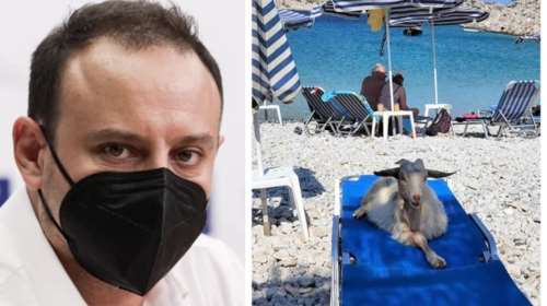 Η χιουμοριστική ανάρτηση Μαγιορκίνη: Όταν κατσίκια αράζουν στις ξαπλώστες, η επόμενη υποπαραλλαγή θα λέγεται &quot;Μπε&quot;