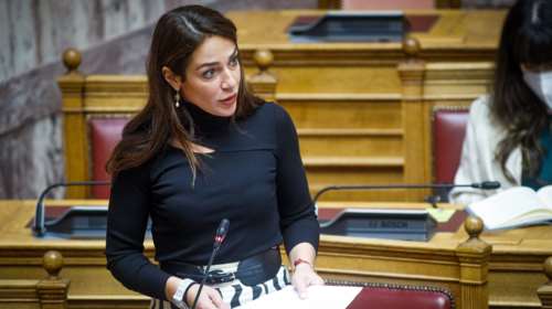 Μιχαηλίδου: Δεν είχαν ψηφίσει και οι 300 τη διάταξη που επέτρεψε αλλαγή διοίκησης στην ‘’Κιβωτό του Κόσμου’’ [Βίντεο]