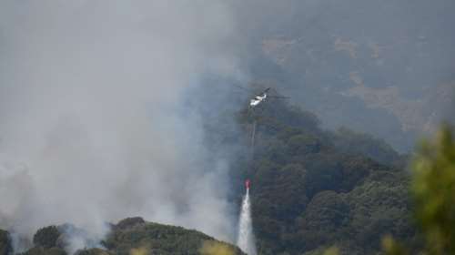 Μυτιλήνη: Υπό έλεγχο τέθηκε η φωτιά στην περιοχή Πετσοφά Καλλονής