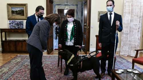 Παγκόσμια Ημέρα ΑΜεΑ: Στο Προεδρικό σκύλοι οδηγοί τυφλών - Συνάντηση Σακελλαροπούλου με άτομα με οπτική αναπηρία [βίντεο]