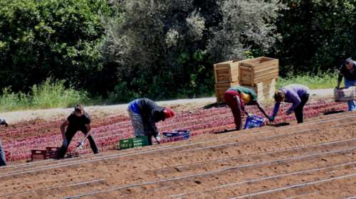 Κυκλώματα αναζητούν εργάτες γης ακόμα και στα… Ιμαλάια - Κρυμμένοι σε κυλίνδρους και πορτ μπαγκάζ για να φτάσουν στην Ελλάδα