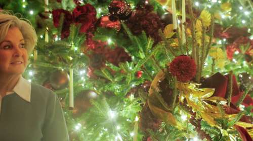 "Απασφάλισε" η προσωπάρχης του Λευκού Οίκου: Δηλωμένος χρήστης κεταμίνης ο Μασκ, θιασώτης θεωριών συνωμοσίας ο Βανς