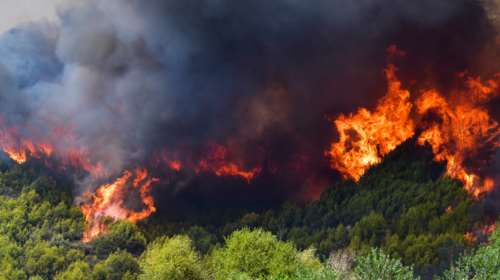 Φωτιά στην Αρχαία Ολυμπία: Εγκλωβισμένοι στο Πελόπιο - Καίγονται σπίτια - Μήνυμα 112 για εκκένωση [εικόνες-βίντεο]