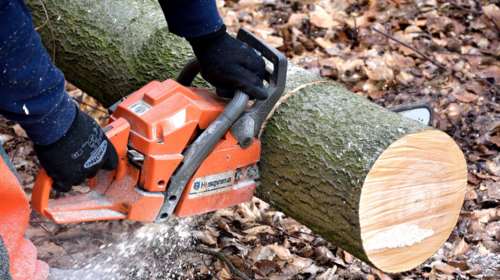 Σοκ στα Χανιά: Πώς ο 35χρονος πατέρας δύο παιδιών έκοψε κατά λάθος με αλυσοπρίονο τον λαιμό του