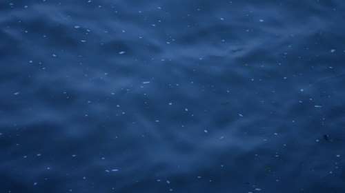 Ολυμπιακοί Αγώνες 2024: Αναβλήθηκε το τρίαθλο ανδρών εξαιτίας της μόλυνσης του Σηκουάνα