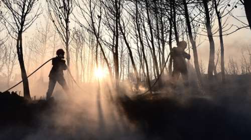 Χωρίς ενεργά μέτωπα οι φωτιές σε Σταμάτα και Κερατέα - Ένας νεκρός από ανακοπή, κάηκαν σπίτια [εικόνες - βίντεο]