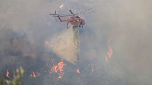 Φωτιά στον Έβρο: Ενισχύονται οι δυνάμεις της πυροσβεστικής - Μάχη στο δάσος της Δαδιάς