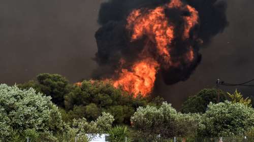 Kίνδυνος ερημοποίησης του λεκανοπεδίου Αττικής από τις φωτιές: Θα γίνουμε Ντουμπάι, λέει ο Λέκκας