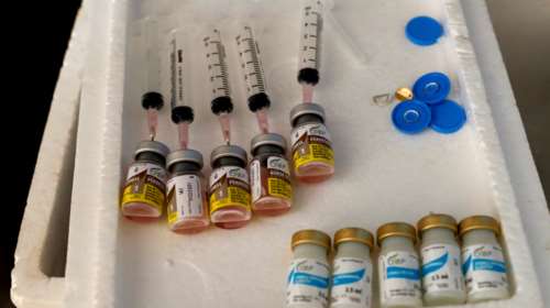 Πώς και γιατί η πανδημία του κορονοϊού &quot;εξαφάνισε&quot; την κοινή γρίπη