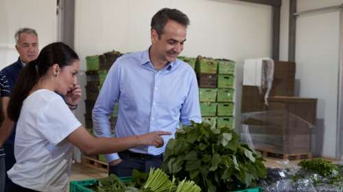 O Μητσοτάκης σε αγρόκτημα στον Αυλώνα - Τι είπε για τον πρωτογενή τομέα [εικόνες]