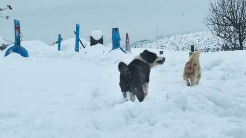 Επιδείνωση του καιρού από σήμερα με πολύ κρύο και χιόνια ακόμη και στην Αττική - Μπαράζ συσκέψεων στην Πολιτική Προστασία