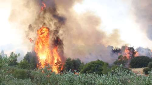 Καμπανάκι από Πολιτική Προστασία: Πολύ υψηλός κίνδυνος πυρκαγιάς για αύριο σε Αττική και Εύβοια