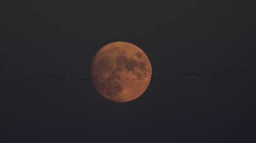 Πανσέληνος Οκτωβρίου 2020: Το πρώτο φεγγάρι του φθινοπώρου - Πότε κορυφώνεται