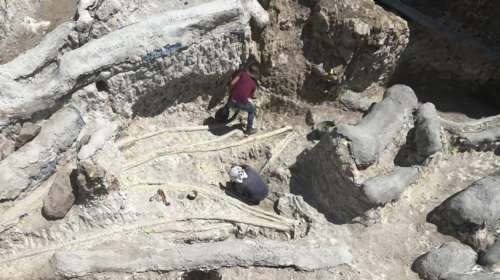 Το απολιθωμένο δάσος της Λέσβου και η καλδέρα της Σαντορίνης στα 100 μνημεία παγκόσμιας Γεωλογικής Κληρονομιάς