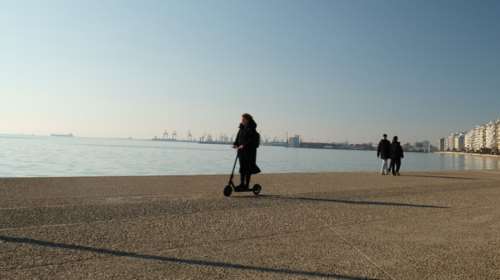 Τσατραφύλλιας: Υποτροπικός αεροχείμαρρος φέρνει την άνοιξη μέσα στο χειμώνα