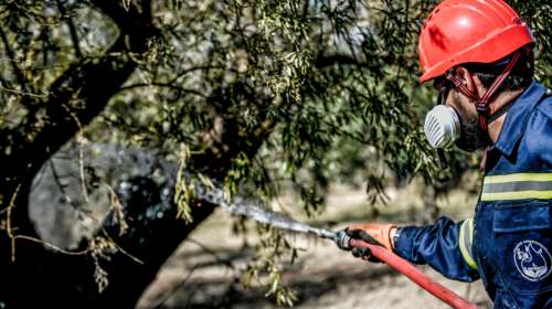 Την εκδοχή εμπρησμών στις φωτιές σε Αιτωλοακαρνανία και Ήπειρο εξετάζουν κλιμάκια της Πυροσβεστικής και της Αστυνομίας