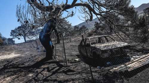 Φωτιά στην Κερατέα: Εικόνες καταστροφής την επόμενη ημέρα - Κάηκαν σπίτια, περιουσίες και δασικές εκτάσεις [Εικόνες]