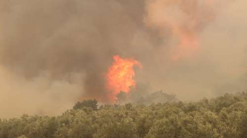 Πύρινος εφιάλτης για 14η μέρα στον Εβρο - Ανησυχία για Πρωτοκκλήσι και Σουφλί - Απίστευτα βίντεο