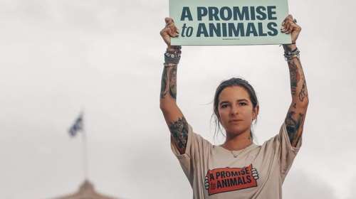 Εριέττα Κούρκουλου-Λάτση: Ξέσπασε για τα περιστατικά με θύματα παιδιά και βρέφη - "Θέλω το κακό τους και δεν ντρέπομαι γι' αυτό"