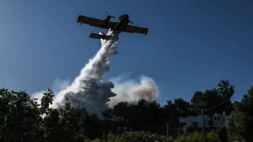 Πύργος: Φωτιά σε δασική έκταση κοντά στην Κυανή Ακτή