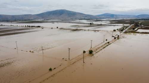 Λέκκας: Σε 5 χρόνια θα είναι γόνιμος ξανά ο Θεσσαλικός κάμπος - Καταστράφηκε το 23% της αγροτικής παραγωγής της χώρας