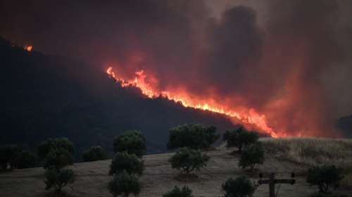 Ηλεία: Προφυλακιστέος o 58χρονος που κατηγορείται για εμπρησμό στα Άγναντα