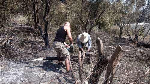 Αυλώνας: Αρνείται την κατηγορία εμπρησμού ο 45χρονος πρώην δικηγόρος - Επικαλείται ψυχιατρικά προβλήματα