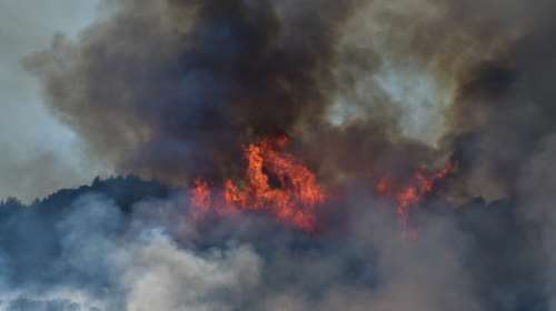 Φωτιά: 61 δασικές πυρκαγιές ξέσπασαν το τελευταίο 24ωρο στη χώρα