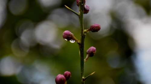&quot;Τρελός&quot; καιρός και σήμερα: Συνεχίζονται οι βροχές, αλλά ο υδράργυρος σκαρφαλώνει στους 26 βαθμούς