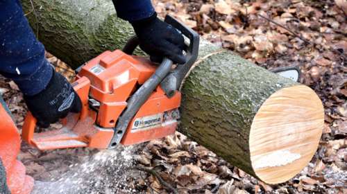 Θρίλερ στη Θεσσαλονίκη: Νεκρός με τραύμα από αλυσοπρίονο βρέθηκε 51χρονος που είχε εξαφανιστεί