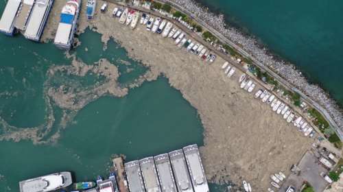 &quot;Γλίτσα&quot; στη Θάλασσα του Μαρμαρά: Πώς δημιουργήθηκε η αποκρουστική βλέννα που απειλεί το Αιγαίο [Εικόνες-Βίντεο]