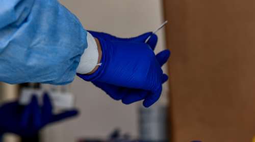 Ρεκόρ κρουσμάτων σε νοσήματα που μεταδίδονται από κουνούπια - Τι γίνεται στην Ελλάδα με τον ιό του Δυτικού Νείλου